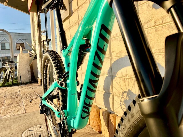 StumpJumper FSRの画像9